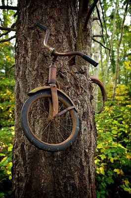 bike_tree